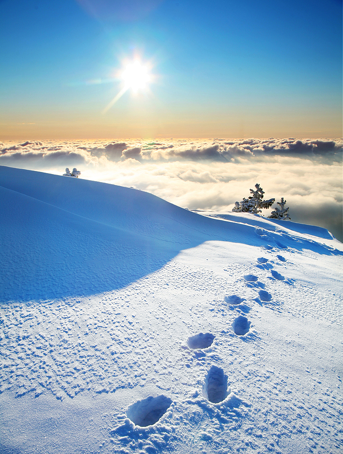 footprints in the white snow head toward the sun